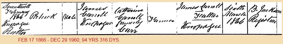 carroll knopogue 03jn18gh